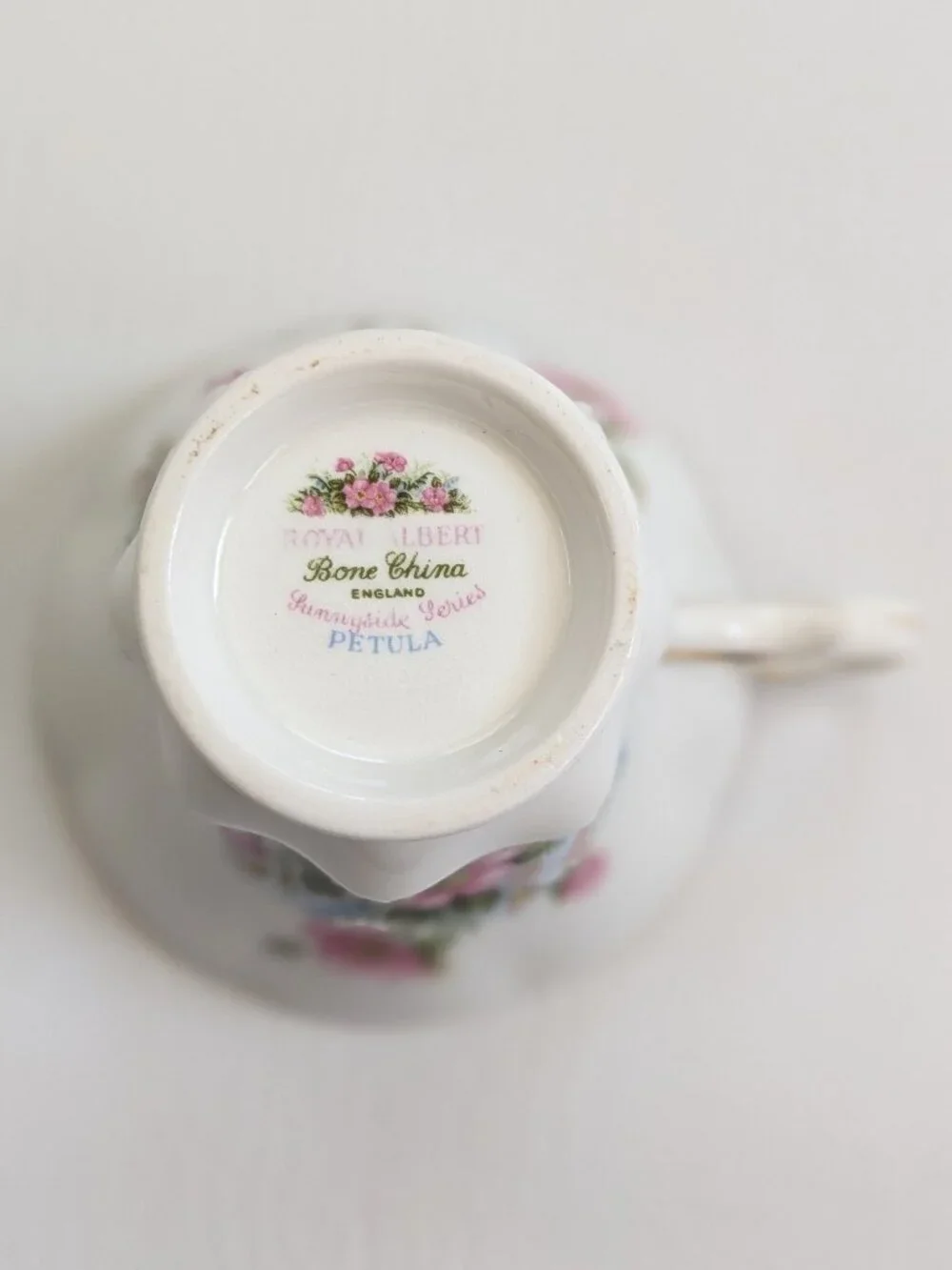 Royal Albert Sunnyside Series Petula Teacup & Saucer English Fine Bone China